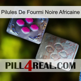 African Black Ant Pills 38